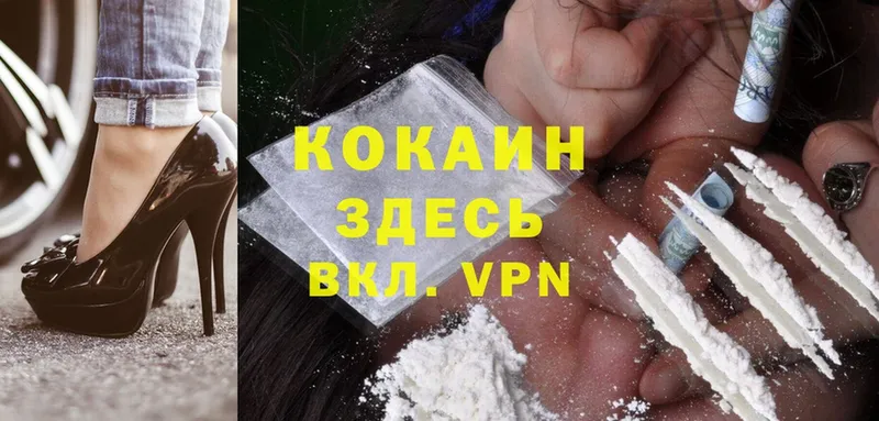 купить   Курган  COCAIN Эквадор 